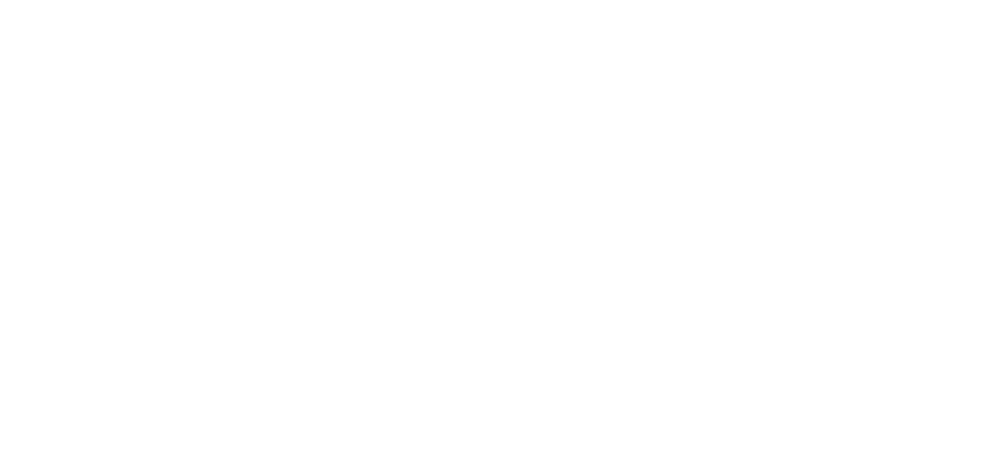 Flock Consulting — Professional Services in Dunedin
