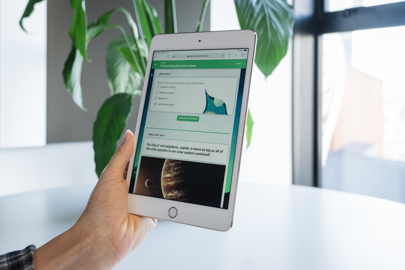 Flock Consulting — Professional Services in Dunedin