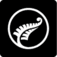 Silver Fern Farms Rotorua