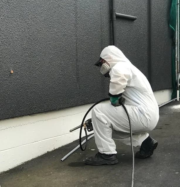 Pest-Gone Services — Pest Control Services in Dunedin