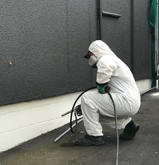 Pest-Gone Services — Pest Control Services in Dunedin