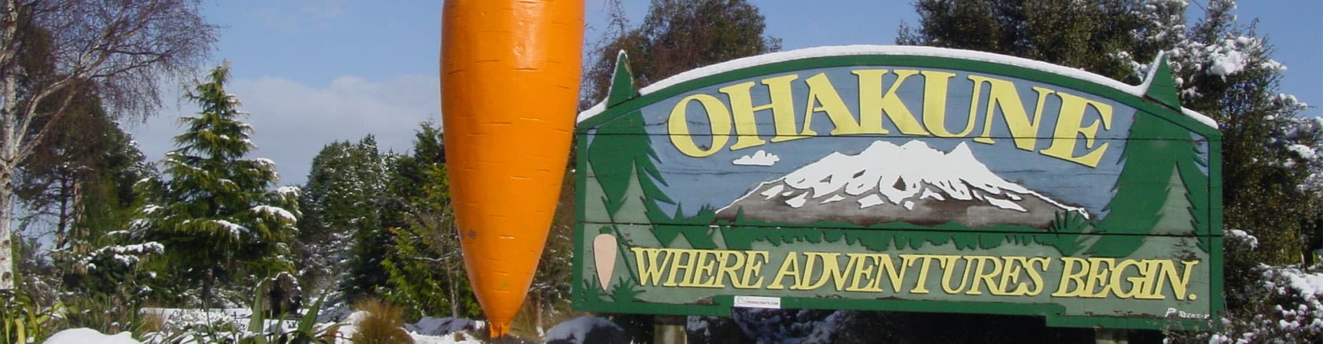 Alpine Motel — Accommodation in Ohakune