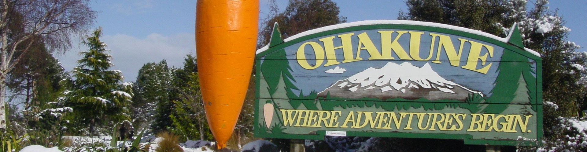 Alpine Motel — Accommodation in Ohakune