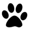 Pack of Paws