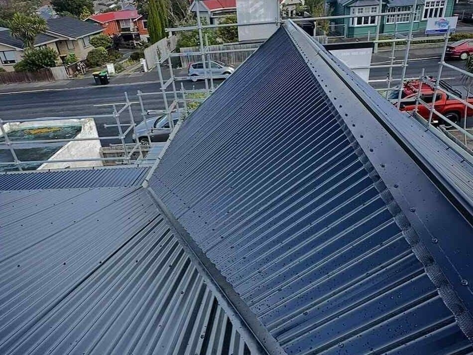 Roof Craft Dunedin — Roofing Services in Dunedin