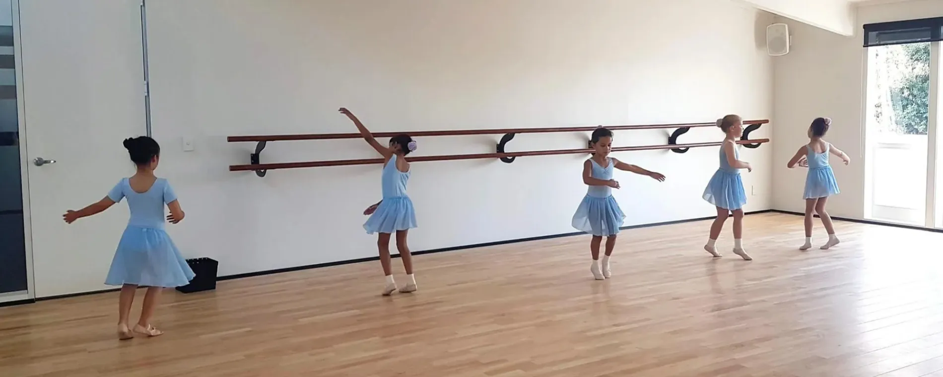 Chameleon Dance & Fitness Studio — Gyms in Blockhouse Bay