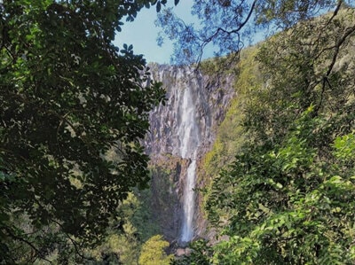 Kaimai Vets Te Aroha — Vets in Auckland