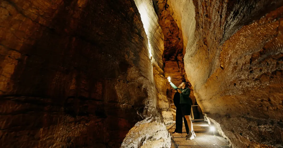 RealNZ Te Anau Glowworm Caves — Travel & Tourism in Te Anau