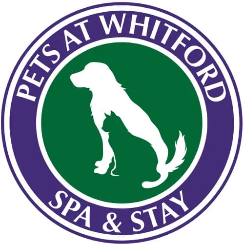 Pets At Whitford Spa & Stay