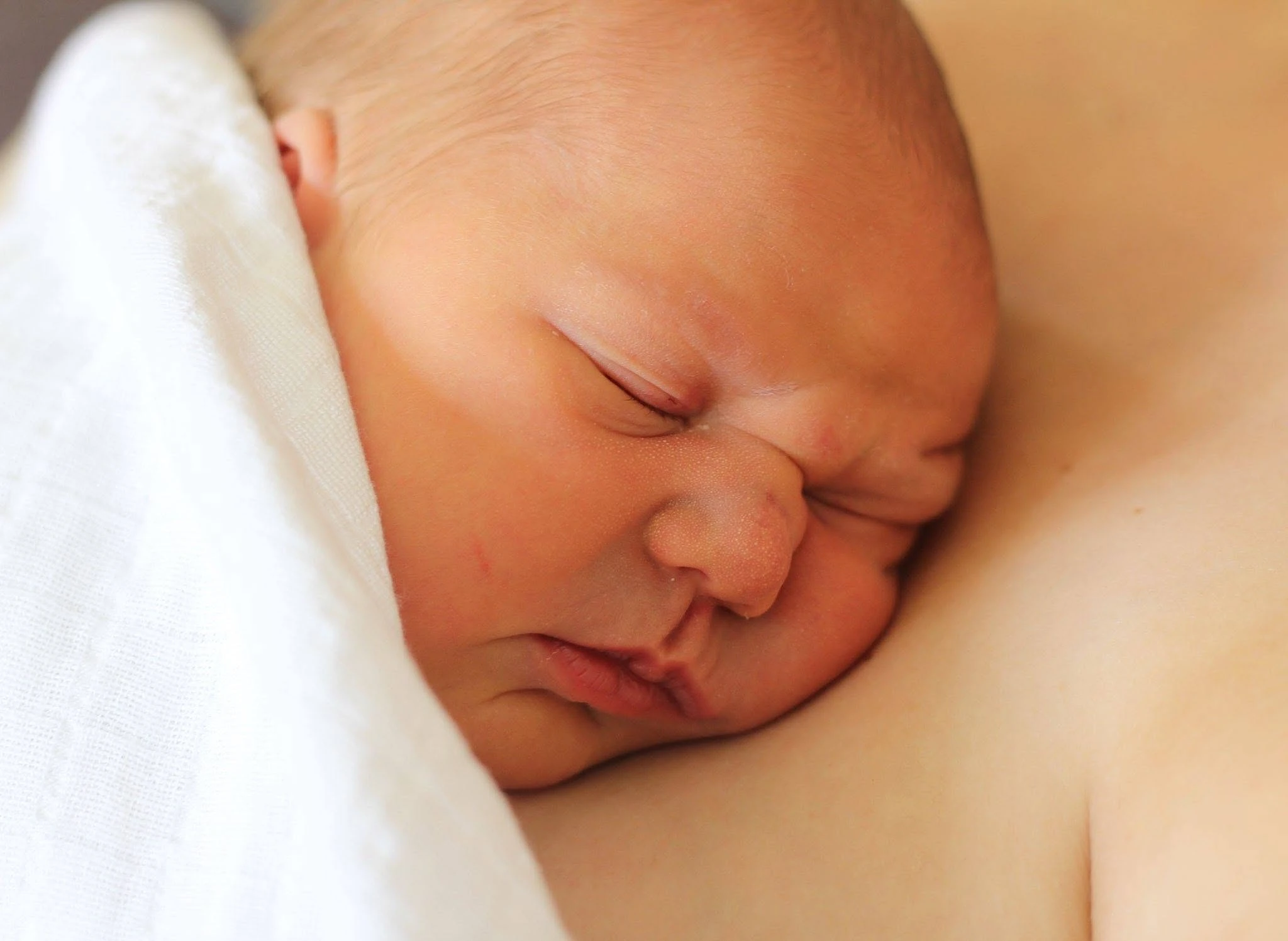 The Breast Room — Childcare Centres in Dunedin