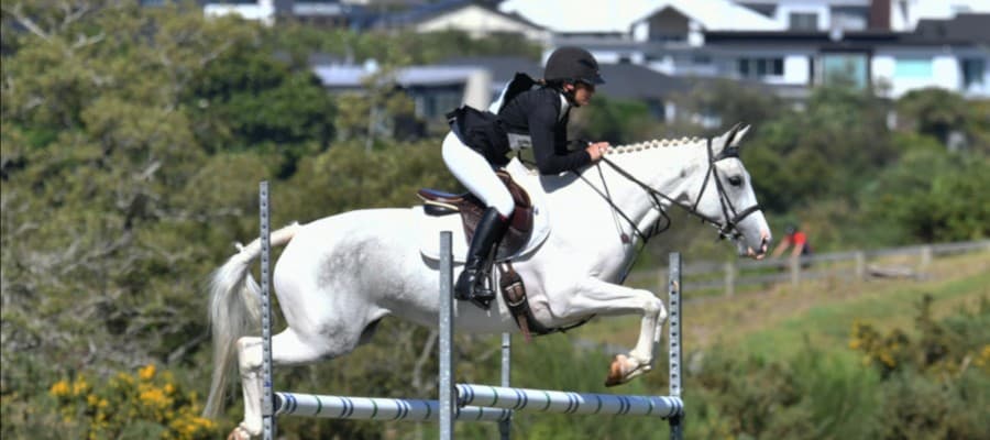 Waikato Equestrian Centre — Gyms in Hamilton