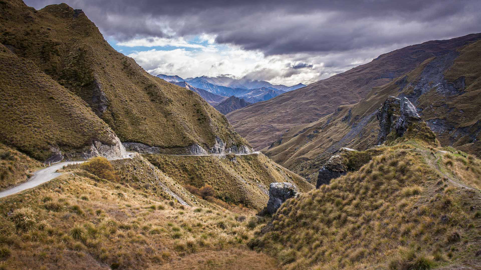 Remarkable Creative — Website Designers in Queenstown