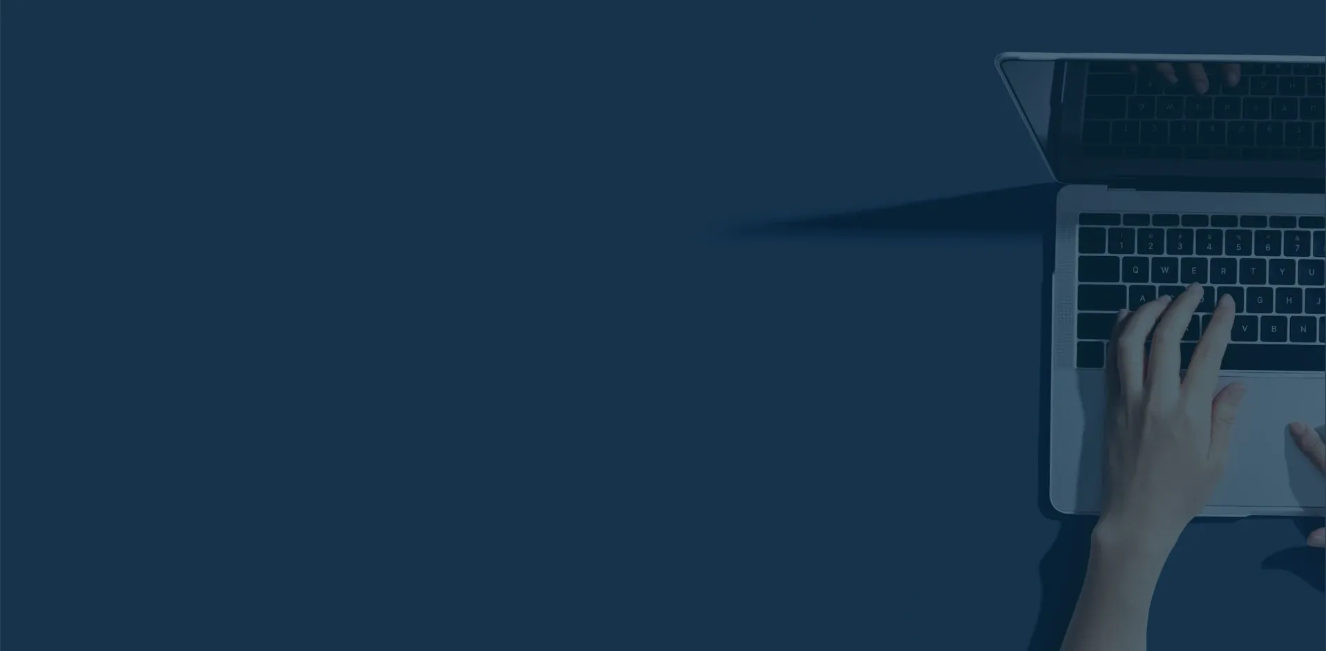 Loop Marketing — Website Designers in Lower Hutt