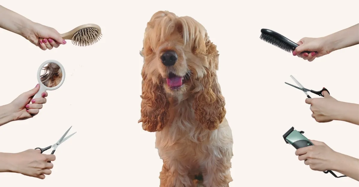 Pooch Loves Grooming — Dog Groomers in Christchurch