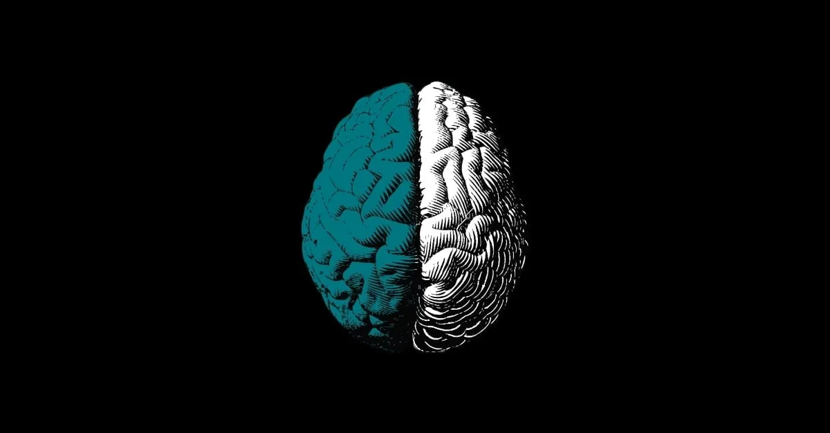 Both Brains — IT Services in Takapuna