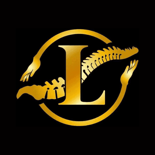 Logic Physiotherapy logo