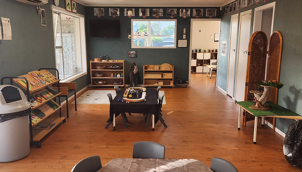 Little Tui Early Childhood Centre — Childcare Centres in Hamilton
