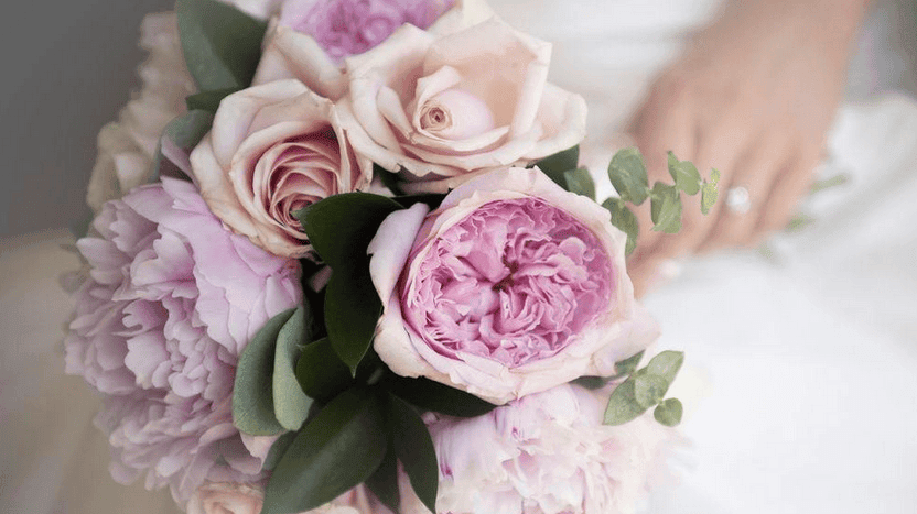 Persimmon Lane Venue — Event Venues in Te Puna