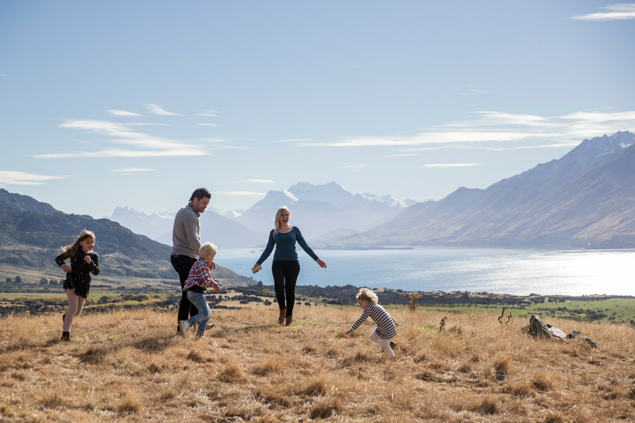 Apex Advice — Financial Services in Mount Eden
