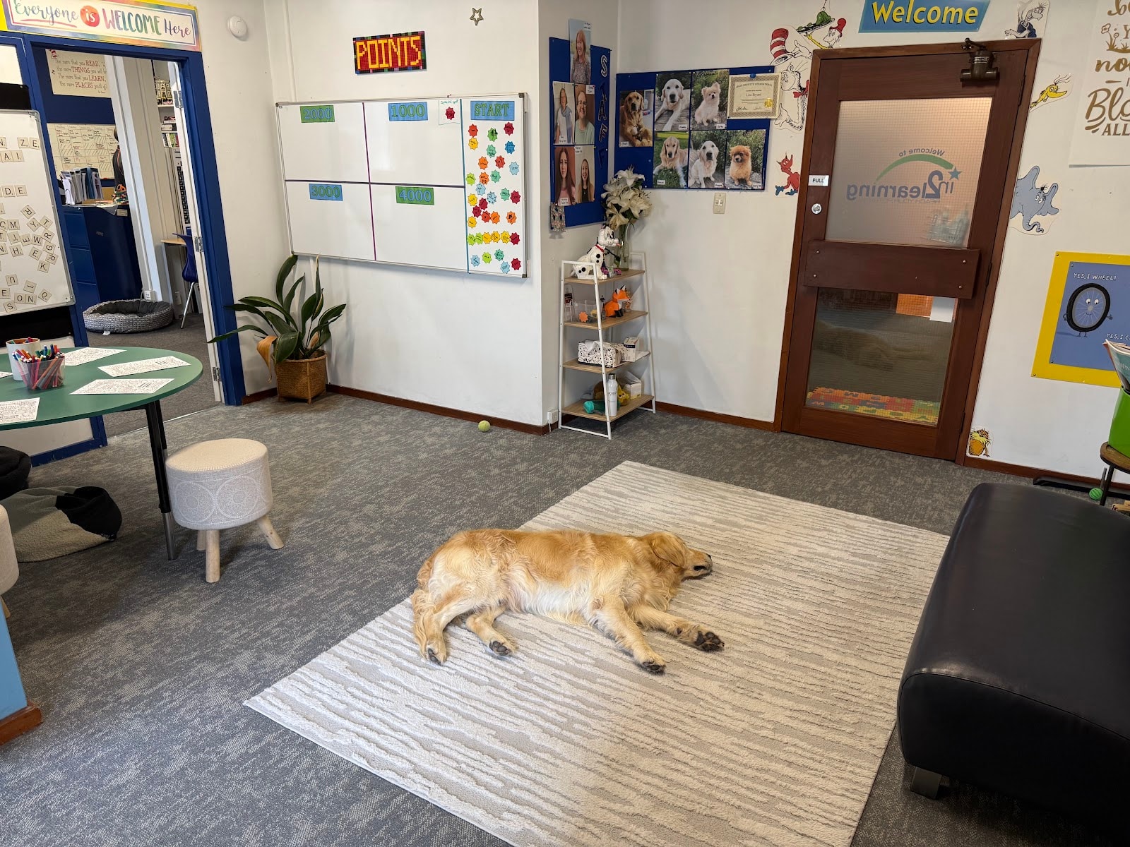 Excel Tutoring Ltd — Professional Services in Dunedin