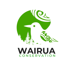 Wairua Conservation