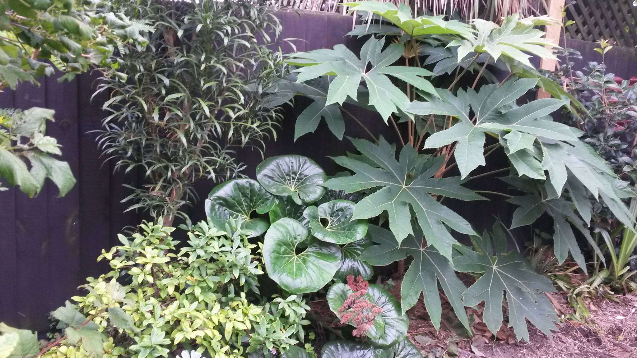 The Garden Angel — Landscaping Services in Christchurch
