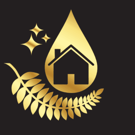 Trendy Nest Limited logo