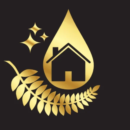 Trendy Nest Limited