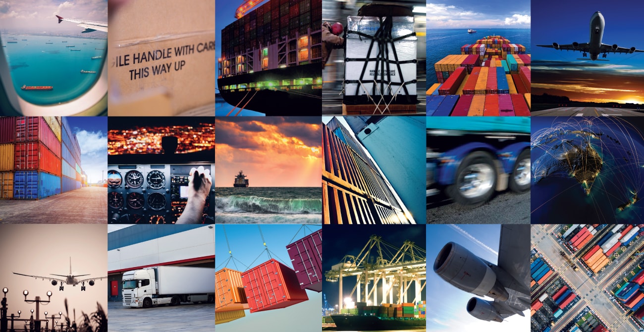 Magellan Logistics - Freight Forwarding Auckland — Professional Services in Upper Harbour