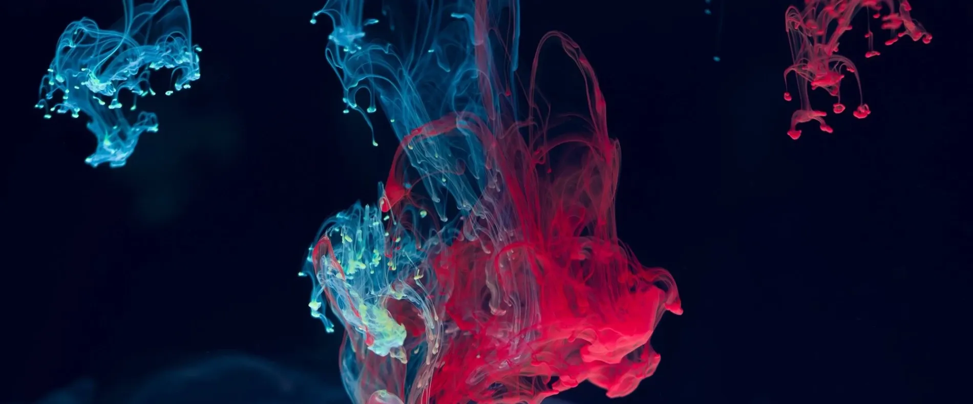 Squid Group — Digital Marketing Agencies in Auckland