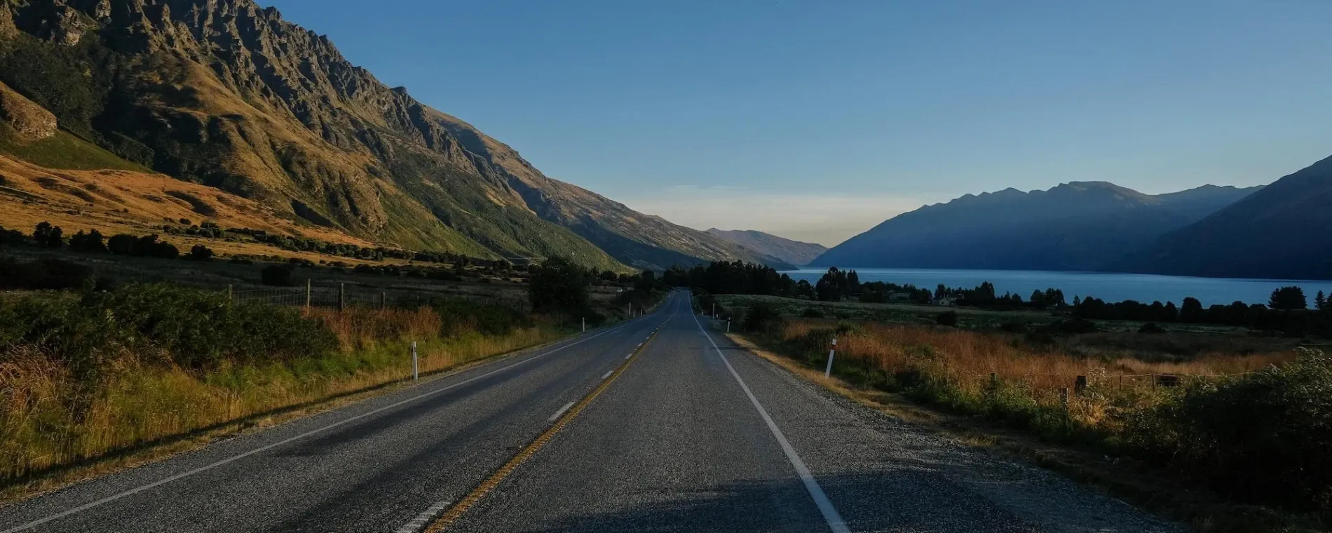 The Dream Factory — Website Designers in Auckland