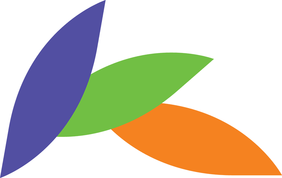 Groundzone Tree Care — Arborists in Cambridge