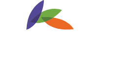 Groundzone Tree Care