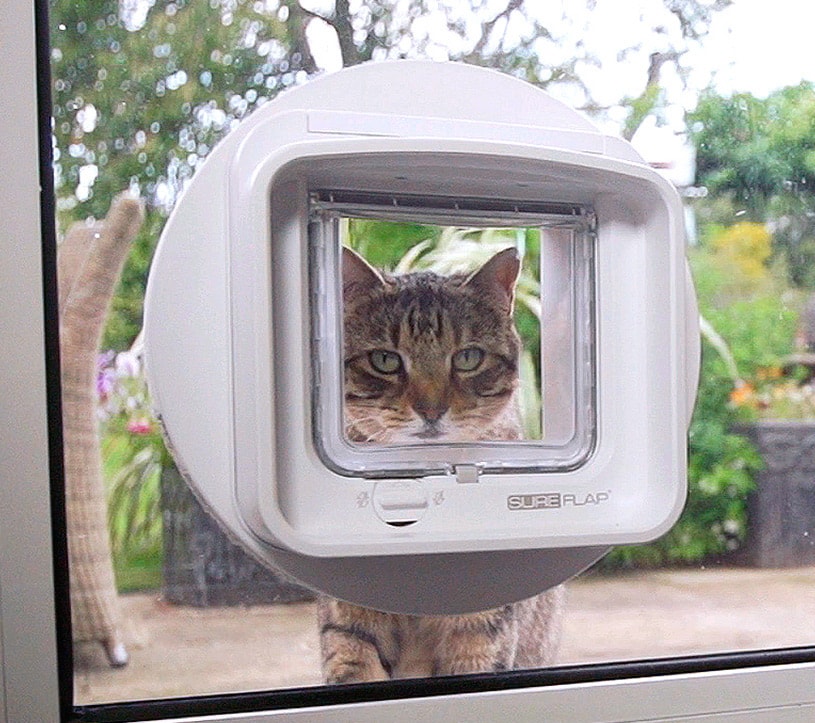 Pet Doors R Us - the Back Door Cat Door Man Limited — Pet Stores in Riverhead