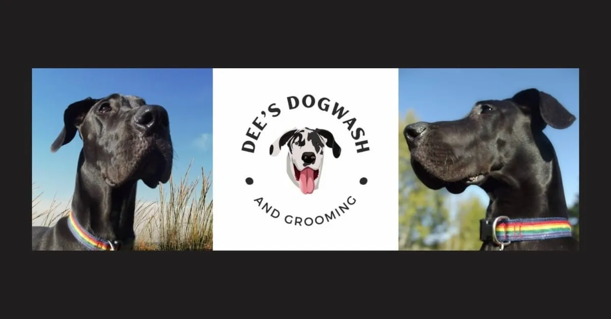 Dee's Dogwash and Grooming — Dog Groomers in Auckland