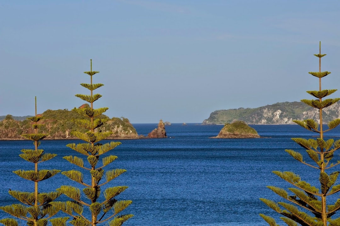 New Zealand Encounters — Travel & Tourism in Whitianga