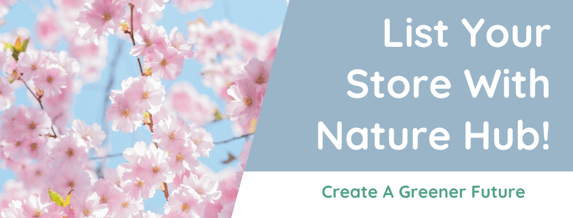 Nature Hub NZ — Photographers in Auckland