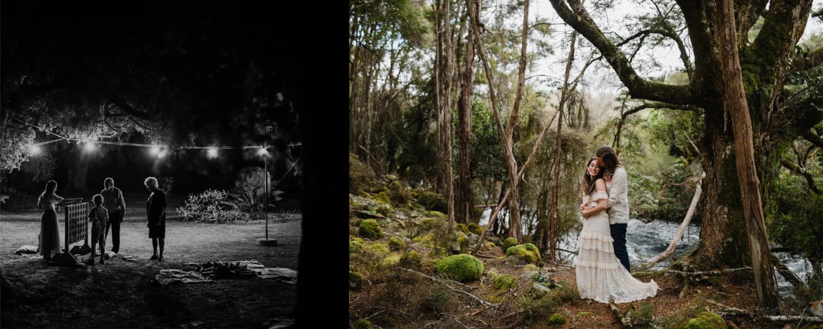 The Woods Photography