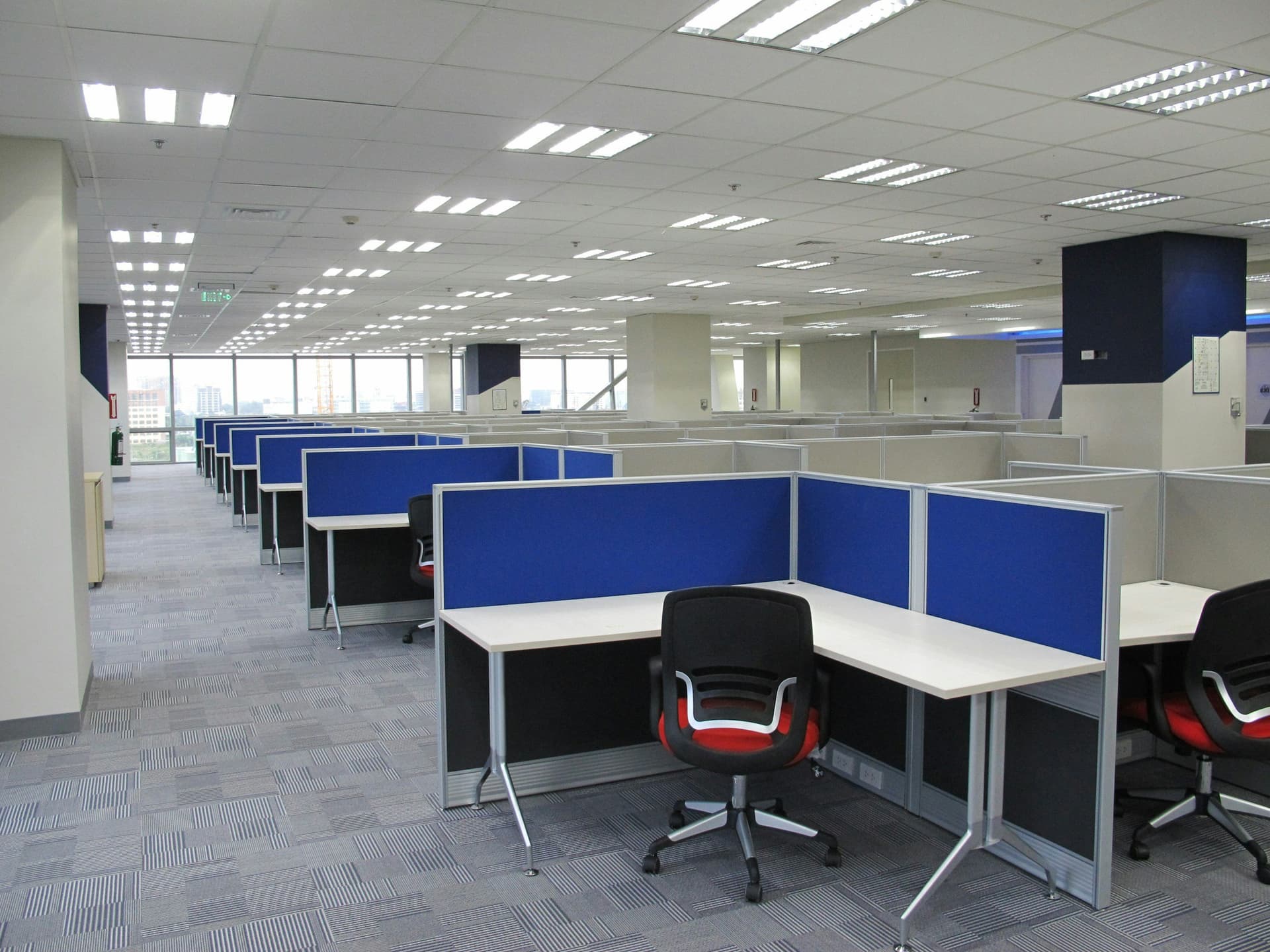 Wanaka Carpet Revival — Cleaning Services in Wānaka