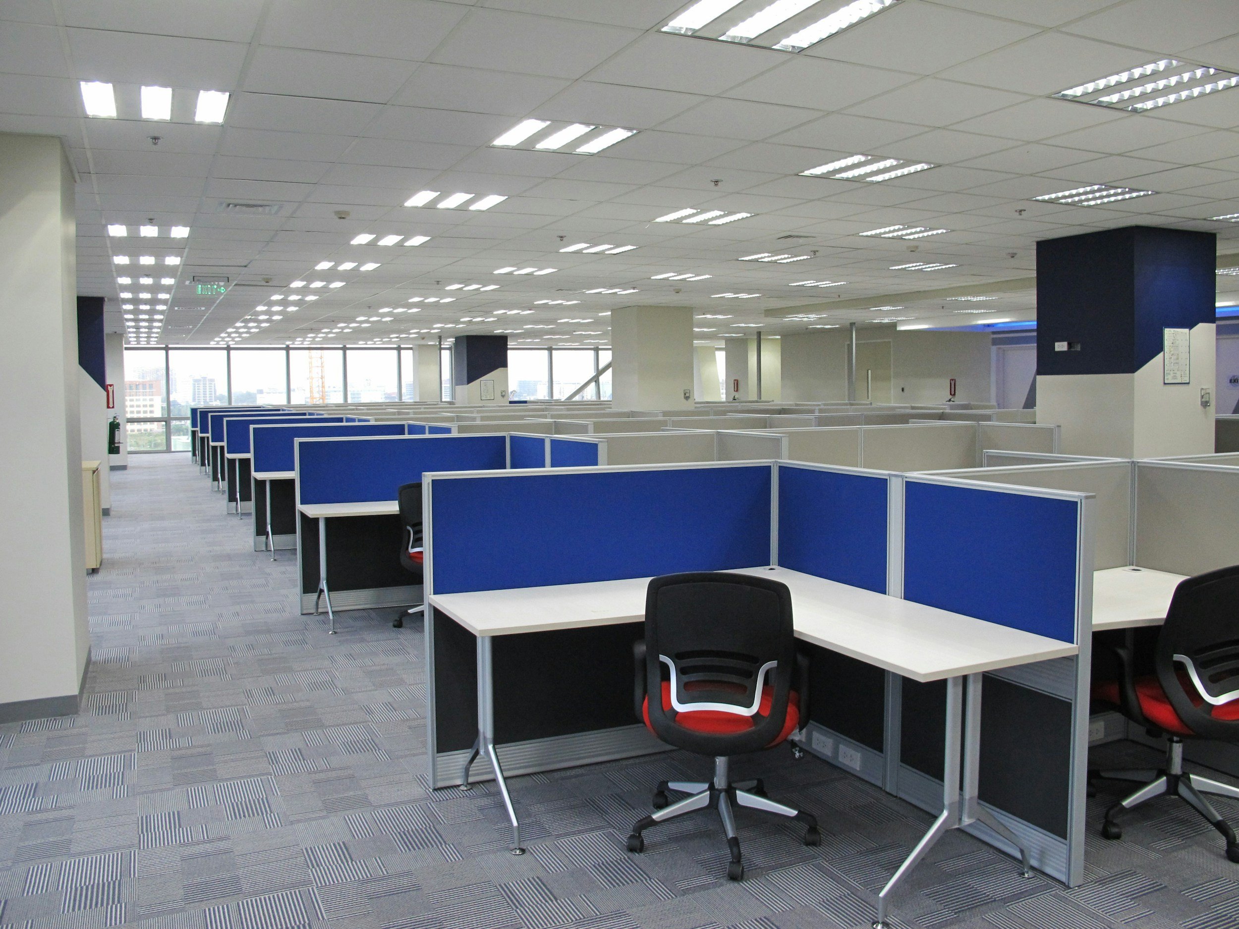 Wanaka Carpet Revival — Cleaning Services in Wānaka