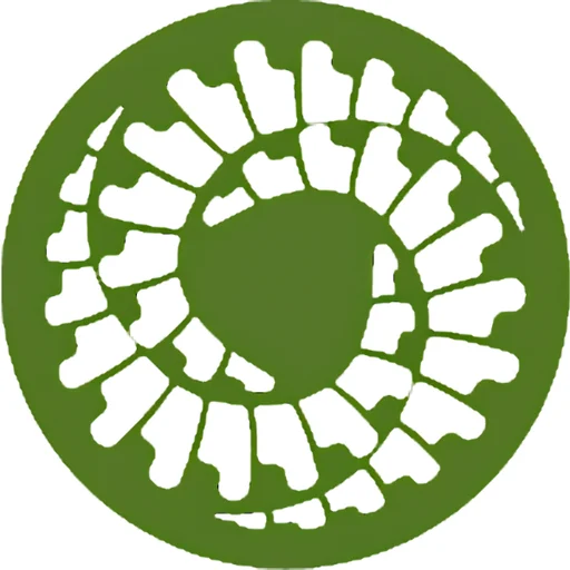 Chiropractic First