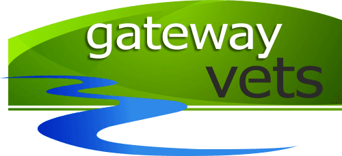 Gateway Vets Ltd