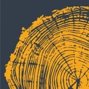 Canopy Arborists