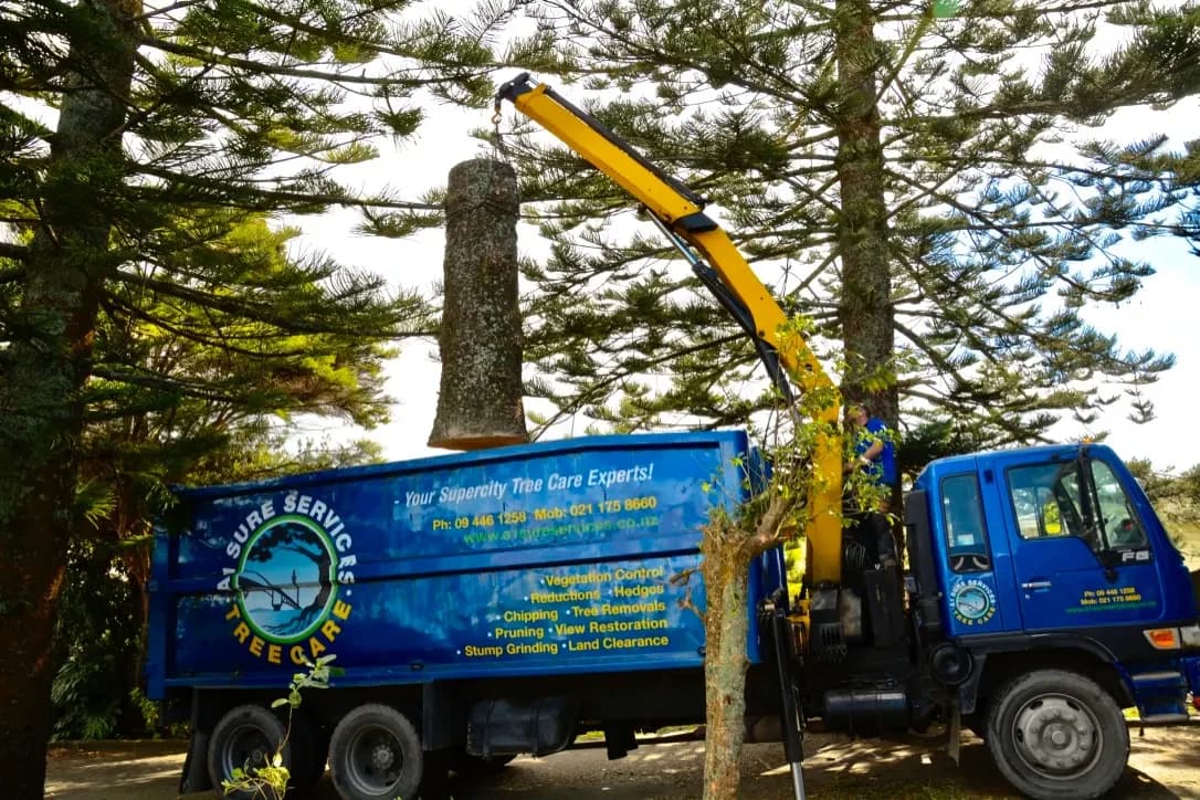 A1 Sure Services Limited — Arborists in Kaukapakapa