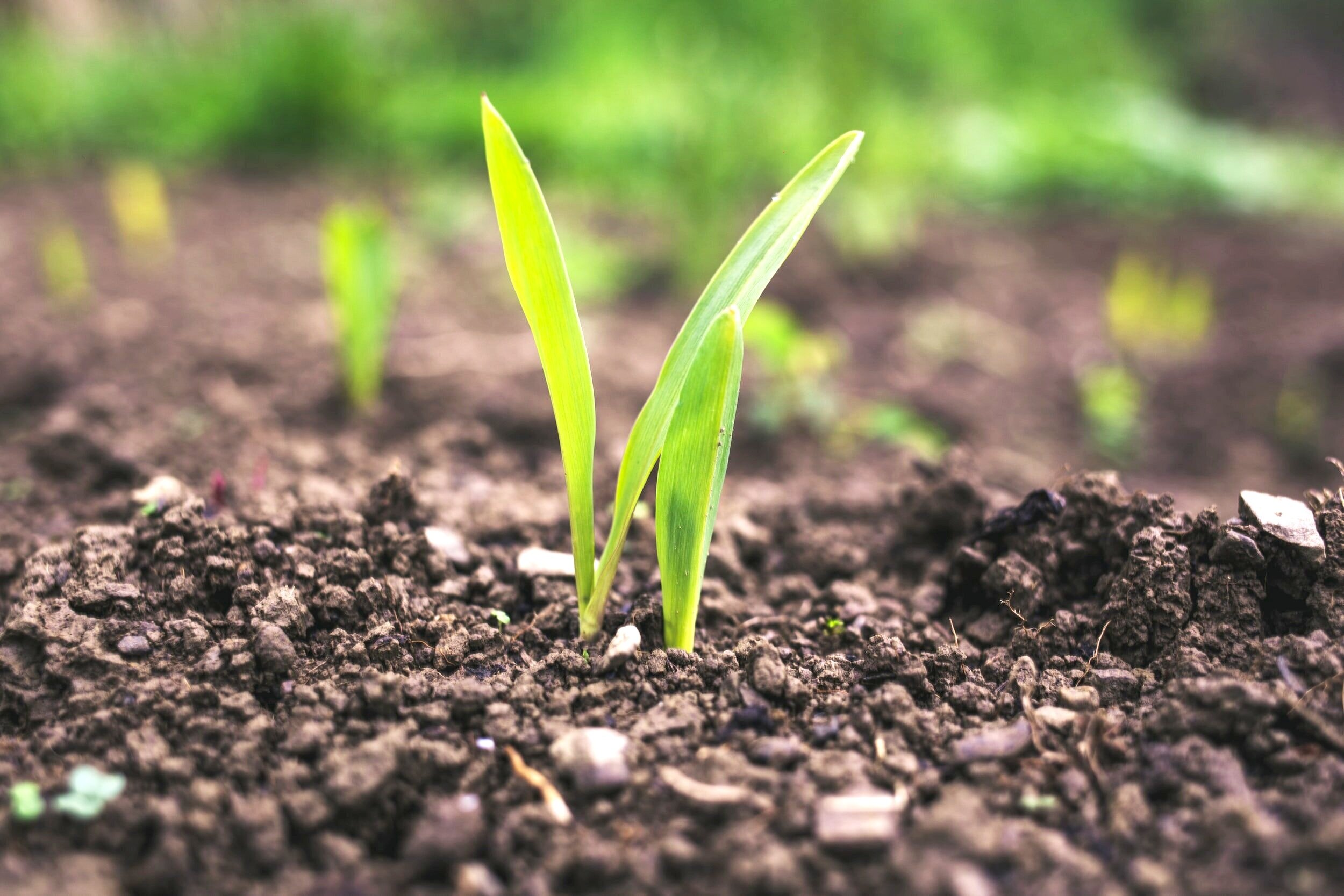 Farmlife Advisory — Financial Services in North Taieri