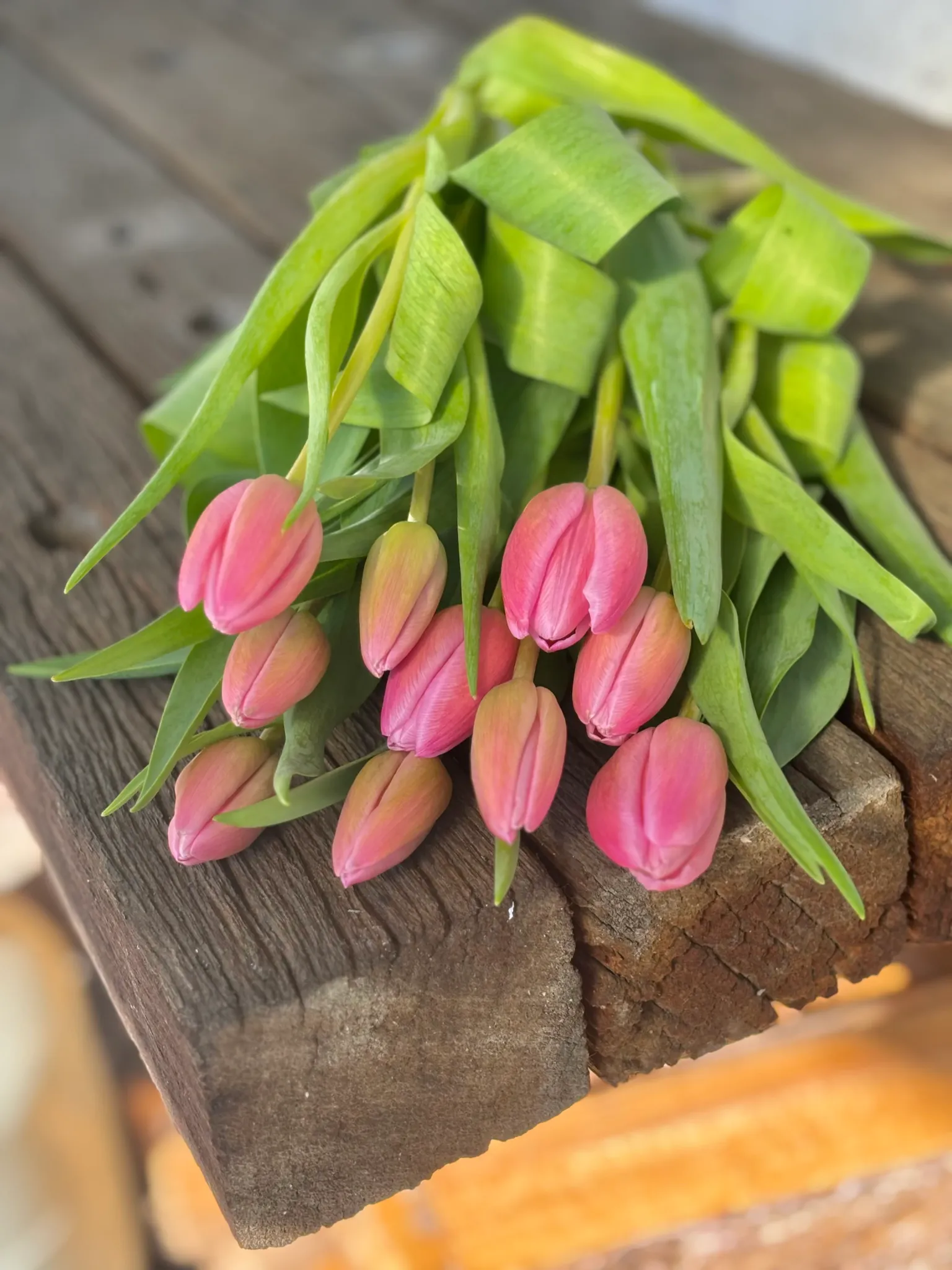 Petal & Posy Florals — Florists in Motueka