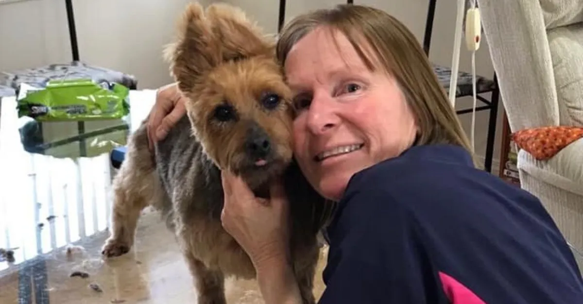 Hound Dog Hairdesign — Dog Groomers in Cromwell