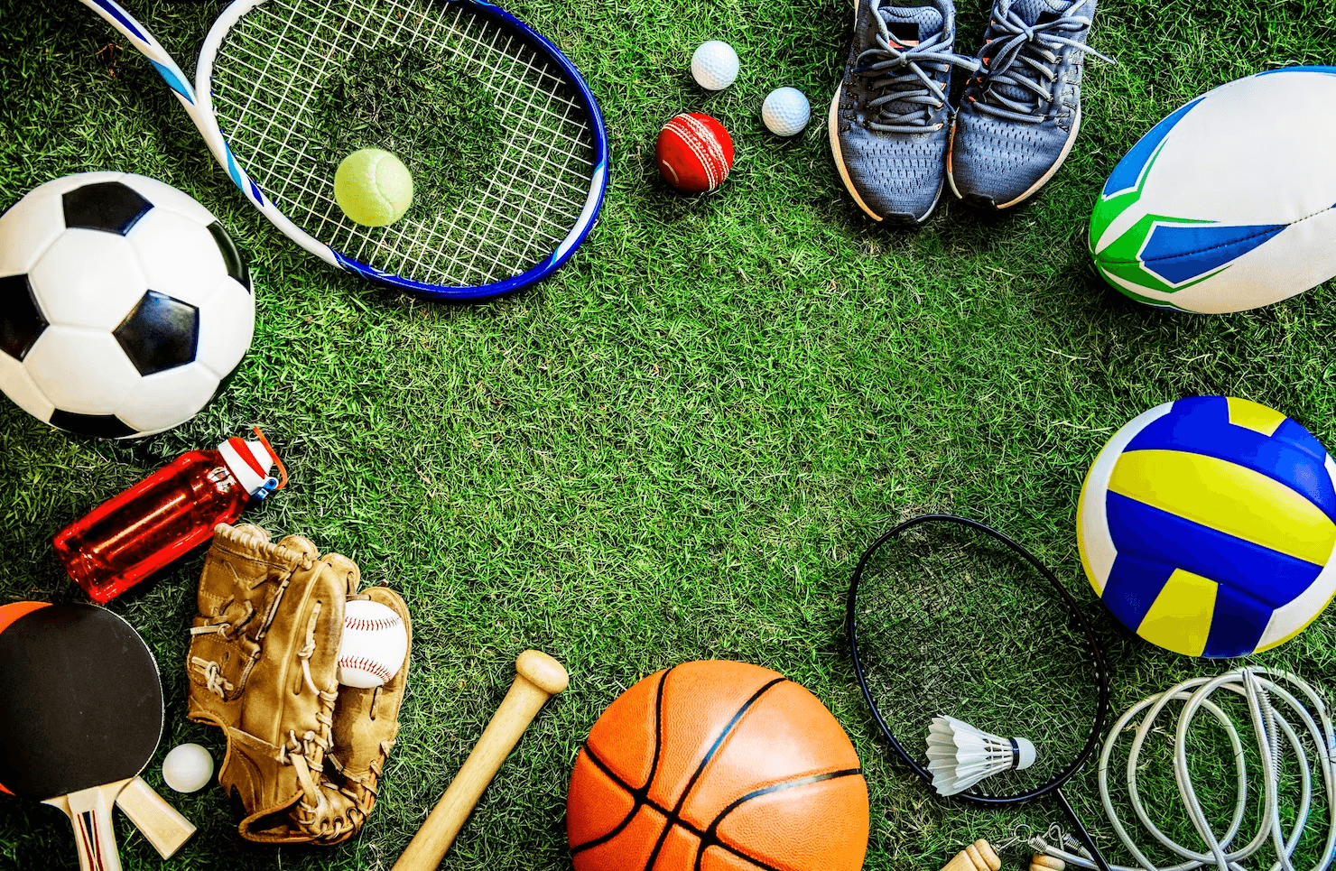 Gecko Sports Equipment — Sporting Goods in Auckland