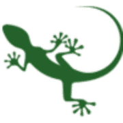 Gecko Sports Equipment