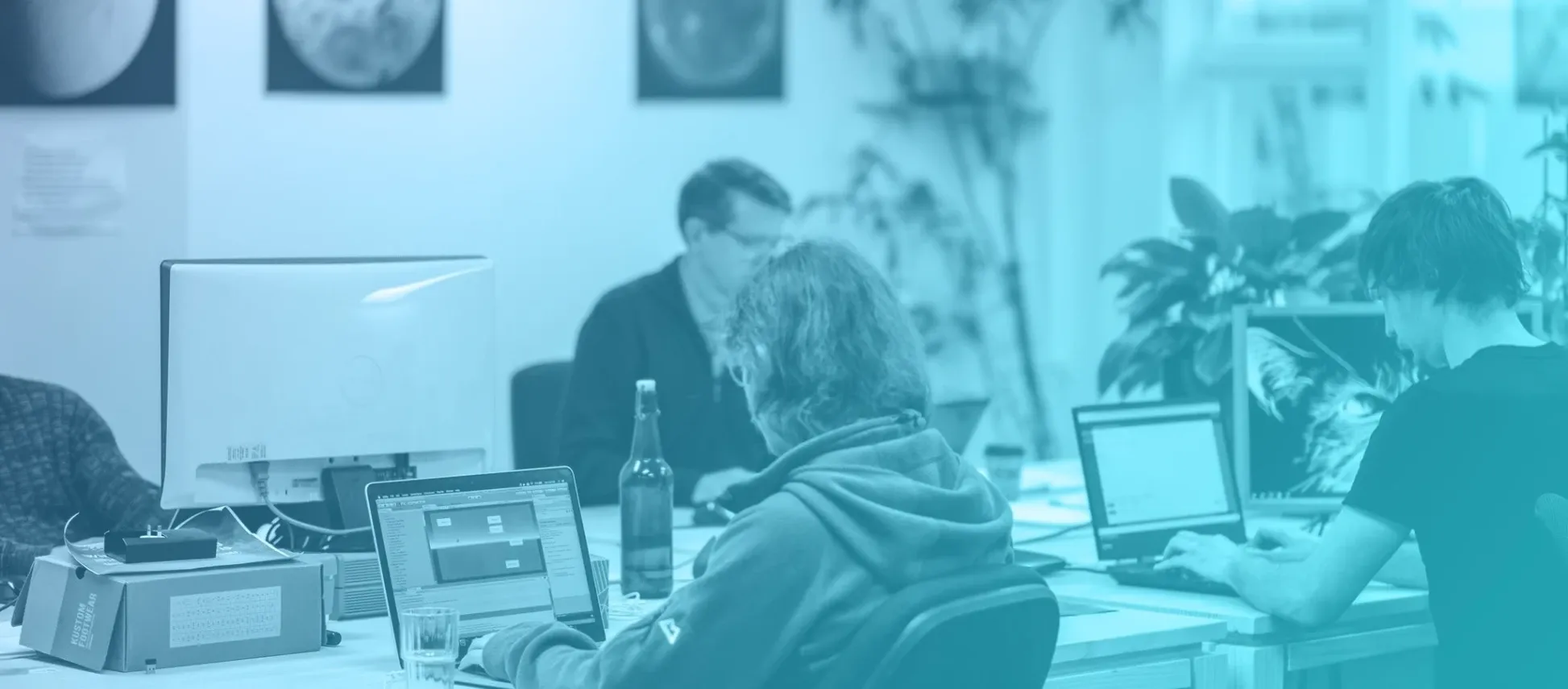 Xequals — Website Designers in Wellington